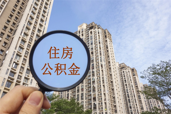乐山辞职了公积金怎么样才能取出来（辞职了住房公积金怎么全部取出来）